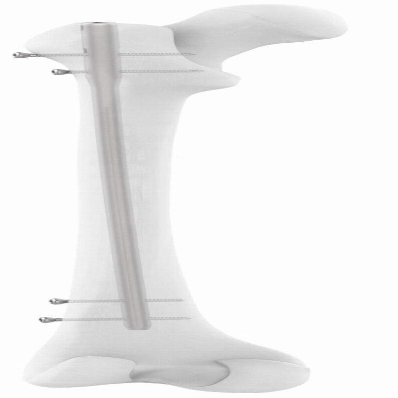 Auxein - JIN Тип – Стегновий Стрижень